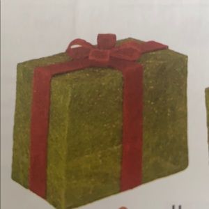 Raz Christmas Lighted Present Red Green